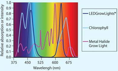 LED Grow Licht