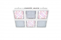 PURPLE ALIEN new generation 2.0   64x3W with optical lenses